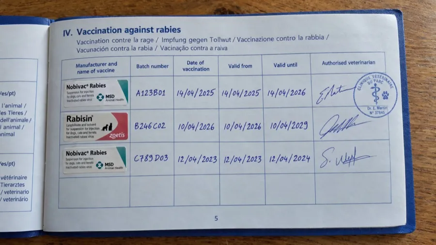 Photo of a paper pet passport vaccination page